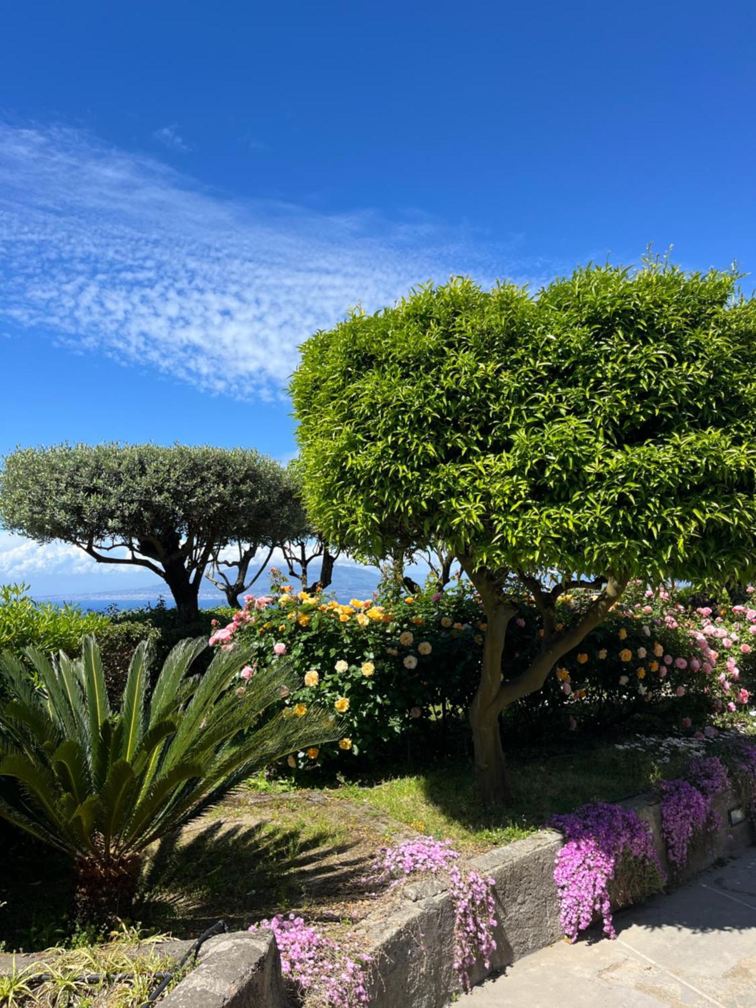 Sorrento Garden Hotel ภายนอก รูปภาพ