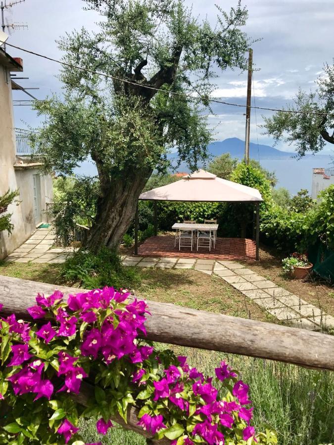 Sorrento Garden Hotel ภายนอก รูปภาพ